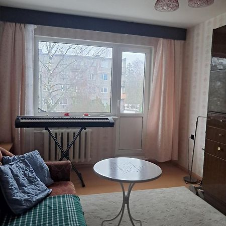 Peaceful and cozy apartment Tamsalu Екстериор снимка