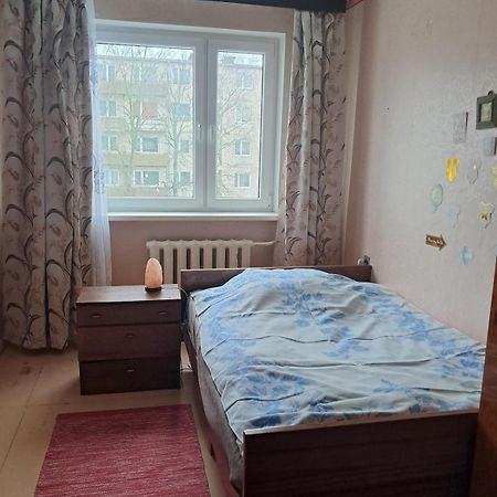 Peaceful and cozy apartment Tamsalu Екстериор снимка