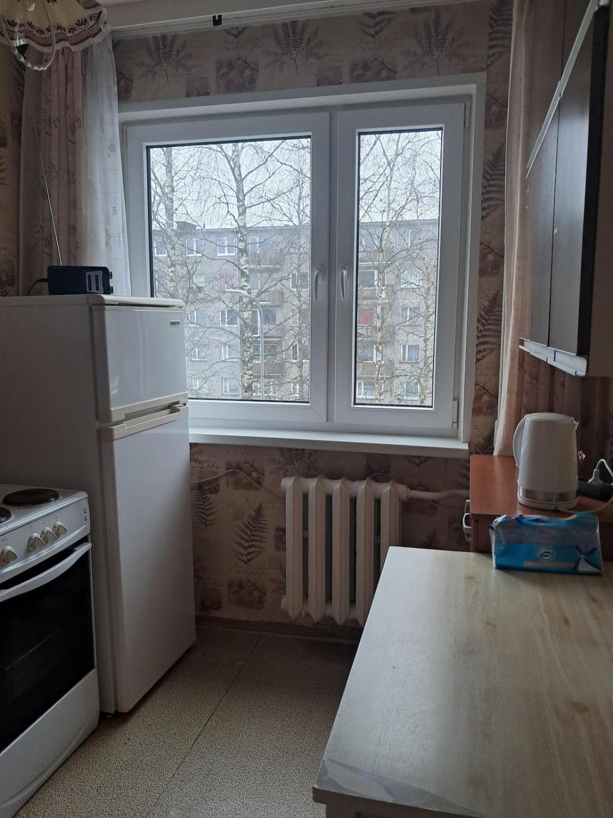 Peaceful and cozy apartment Tamsalu Екстериор снимка